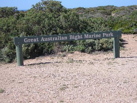 In diesem National Park gab es einige Aussichtspunkte direkt am Meer fuer die es sich echt lohnte anzuhalten...