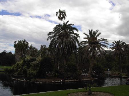 Im Botanischen Garten