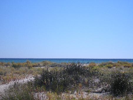 aufs Meer mit unserem Privatstrand, der sich ueber einige Kilometer zieht