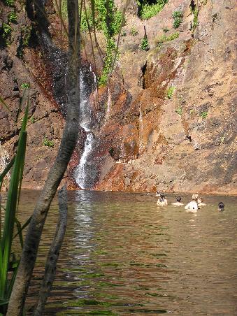 Der linke Wasserfall hatte rechts neben dem Wasser ca 3 Meter ueber dem See einen kleinen Pool da konnte man rein klettren wenn man ganz genau hinsieht kann man drei koepfe aus dem Felsen rausgucken sehen das sind wir