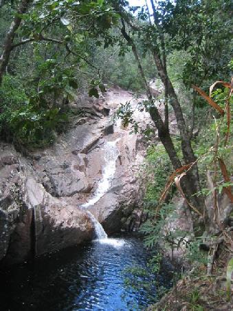 Finch Hatton Gorge, Eungella NP