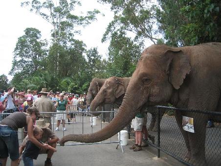 Australia Zoo