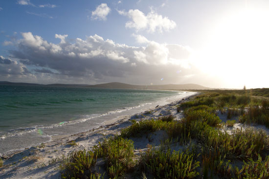 Beach of Albany