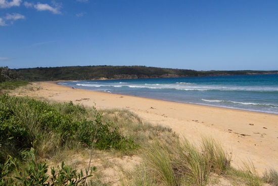 Strand von "Eden"