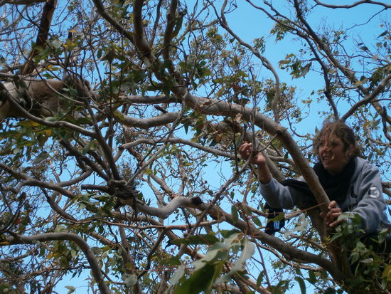 Xeni, mein Prachtexemplar.... &lt;3