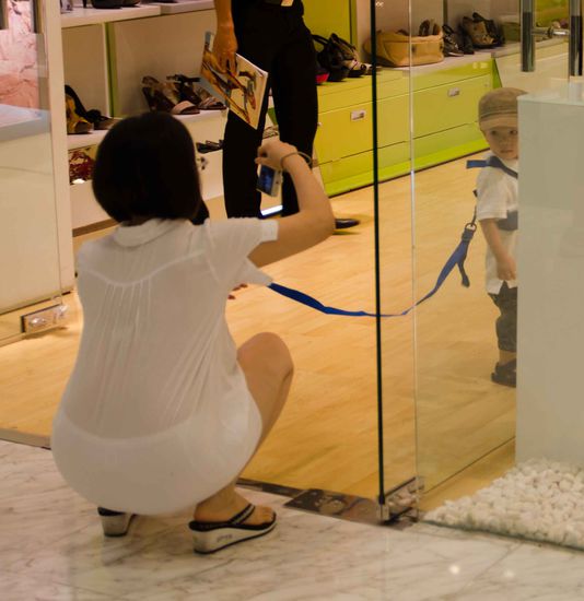 kommt da wohl das sprichwort "jemanden an der langen Leine führen" her?