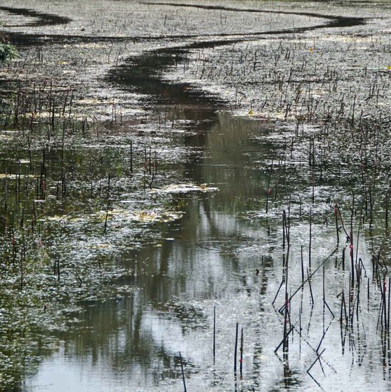über den Tag haben wir mal versucht zusammen ein wenig mit der Kamera künstlerisch tätig zu sein. Wong hat das beste Bild geschossen (siehe weiter oben), finde ich. Die restlichen sehenswerten Resultate kommen nachfolgend