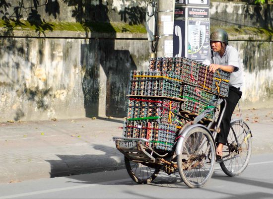 hier werden Eier zum Markt gefahren