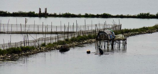 ... teilweise leben sie direkt am Wasser.
