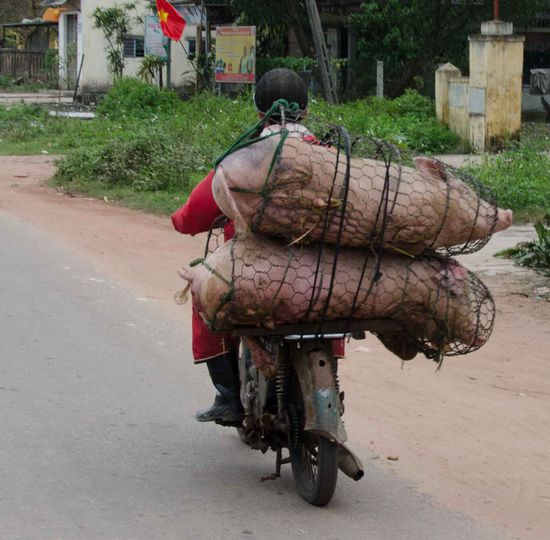 ... allerdings sind sie für was ganz anderes konzipiert!