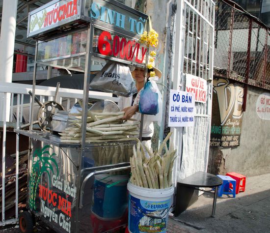 Zur Erfrischung dann noch einen Shake aus Zuckerrohr und Kumquats für 50 Cent pro Portion