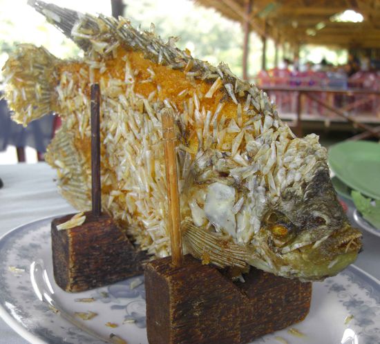 mein (wong) Mittagessen