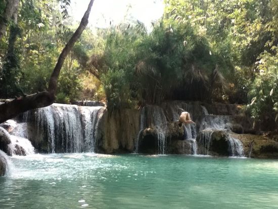 von wo bin da bloss gesprungen