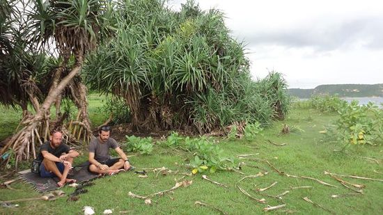 Charlie und Diego...noch heil und munter....