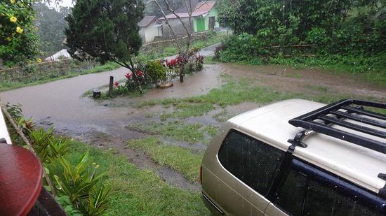 Es regnete ein bisschen