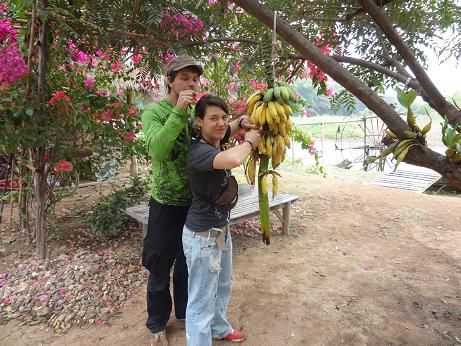 Bananenbieger und Laesuefresser bei der Arbeit...