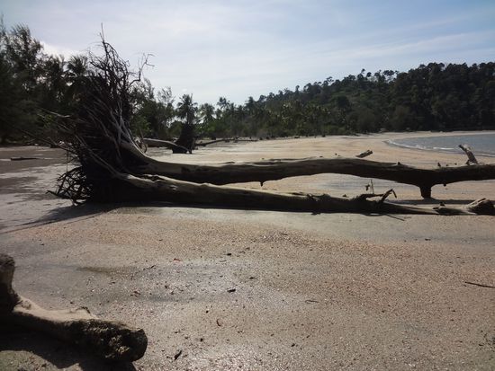 Tsunamischaeden die man heute noch sieht (auf dem Festland)