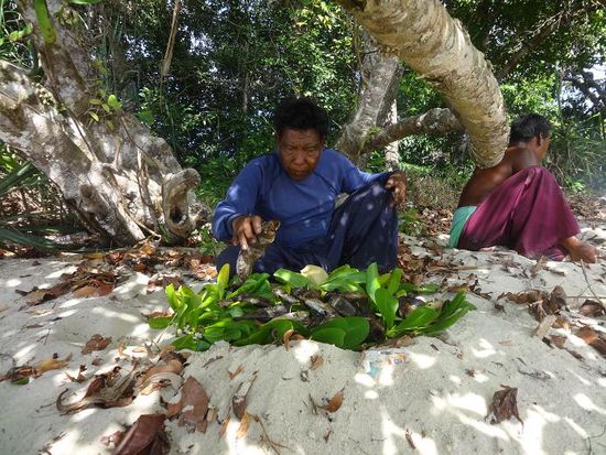 Unser Esstisch aus Blaetter