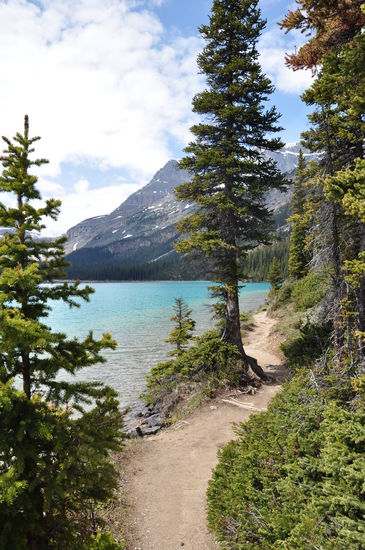 gemütlich entlang am Bow Lake