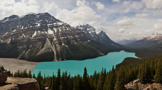 Blick auf den Peyto Lake