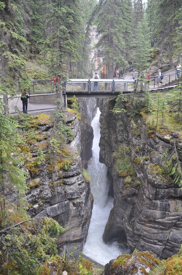 Maligne Canyon 2. Brücke