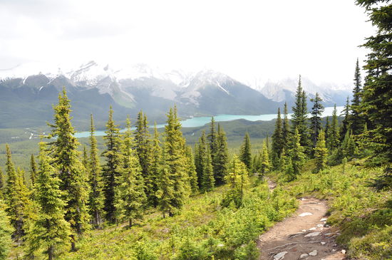 Der Rückweg von den Bald Hills, das Wetter wird auch besser. Schließlich ist heute Feiertag in Kanada und jetzt fahren wir nach Jasper, um ein bisschen zu feiern.