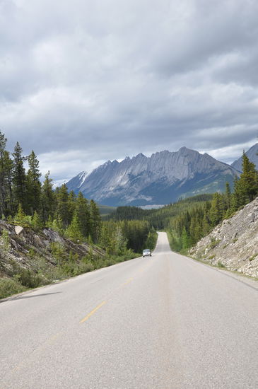 Auf der Maligne Road, kaum Autos zu sehen...