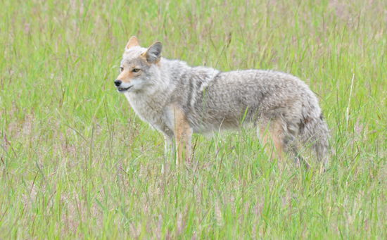 Für dich halte ich sogar auf dem Highway an.