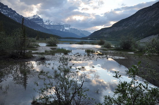 Abendstimmung am Waterfowl Lake