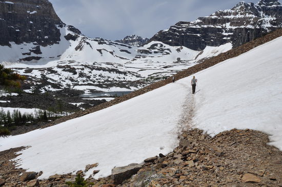 Um zum Eiffel Lake zu gelangen, mussten wir ein Hang überqueren, der noch mit Schnee bedeckt war. Aber ganz im Hintergrund kann man den See schon erkennen