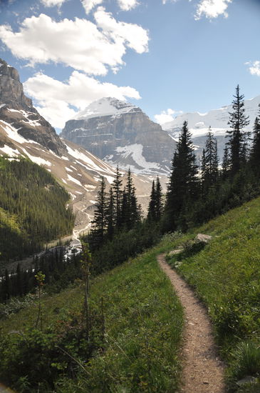 Rückweg Trail Plain of Six Glacier