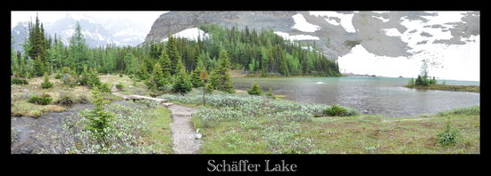 Am  Schäffer Lake muss man vorbei, wenn man zum Arthur Lake will.