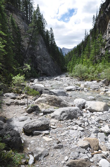 In Canmore wanderten wir durch den Cougar Creek. Wir mussten immer wieder die Seiten wechseln und über den Fluß. Es war zum Glück nicht viel Wasser im Creek, aber trotzdem war Vorsicht geboten. Man konnte schnell mal auf einem Stein abrutschen