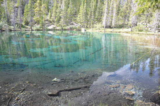 ganz blaues Wasser leuchtet schon von weitem. Es ist ganz klar. Am Ufer verweilten wir bevor es dann in die Stadt Canmore ging.
