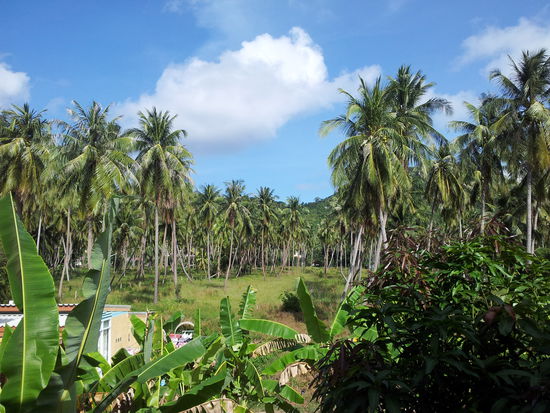 Blick von meinem Balkon
...Dafür muss man halt was abdrücken- und keinen Spiegel im Bad erwarten!
