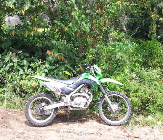 Das is mein standesgemäßes Gefährt für heute...natürlich mit Badehose, Flip-Flops, T-Shirt und Sonnenbrille wie jeder hier bestens geschützt  
(Linksverkehr!!!)
War an zwei anderen Stränden und an ein paar anderen Plätzen.