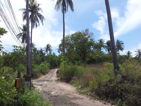 So sehn hier sehr viele Straßen aus, is halt net so wie bei uns...
