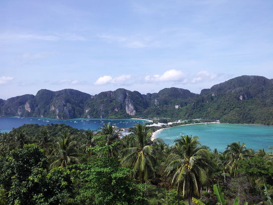 Da sind sie jetzt, die Bilder auf die ich gehofft hatte. Viewpoint 2
Bin schon in aller Früh aufgebrochen um den Viewpoint zu ersteigen. 186 Meter über 0. Da der Weg weiterging, ging ich halt auch weiter, hinein in die Wildnis. Und als ich da so stand um ein Bild zu knipsen, dachte ich mir was kitzelt mich da am Fuß? Und als ich runterschaute bewegte sich schön gemütlich eine Schlange über meinen linken Fuß Richtung nächstem Baum, siehe Bild unten. Bin ihr wohl im Weg gestanden....
Irgendeine Leguan/Eidax/Geko-art hab ich auch gesehen, Tausendfüssler, große Schmetterlinge usw. Dschungel halt...
Bilder weiter unten...