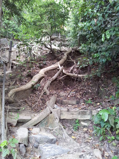 Wurzeliger, steiler Weg beim Long Beach