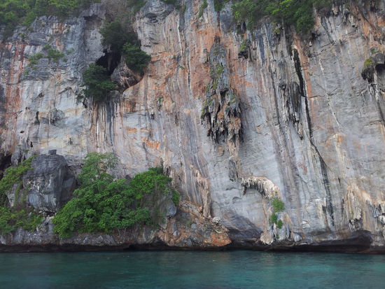 Unter den dunklen Stellen liegen Schwalbennester, die auf abenteuerliche Weise geernter werden und für bis ca € 2000 nach China exportiert werden.