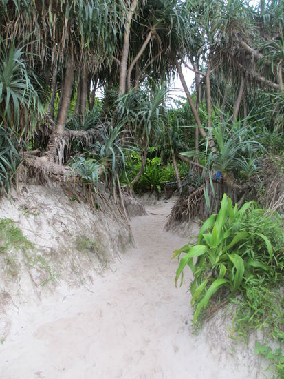 Blick Rückwärts ins Insel-Innere..