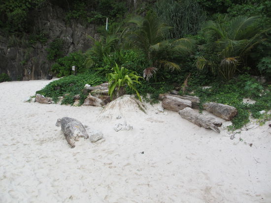 Hier war natürlich schon Dämmerung, aber bei Sonnenlicht sind einfach zu viele Leute hier...
