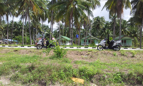 Mit Rollern gings um die halbe Insel, das war ein Spaß! 
Tolle Landschaft und teils abenteuerliche Straßen!
So konnten wir auch am nordwestlichen Ende der Insel diese Sandbank finden, die zu einer weiteren kleinen Insel führte!