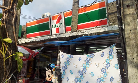 Was war zuerst da? Die Palme oder das Dach?