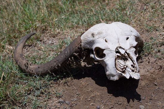 Quelle: Markus Burger - https://www.mauzebild.de