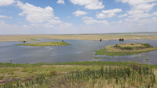 "Hippoteich" - man sieht es nicht, wenn man es nicht weiß, aber das ist das Planschbecken von zwei Nilpferden 