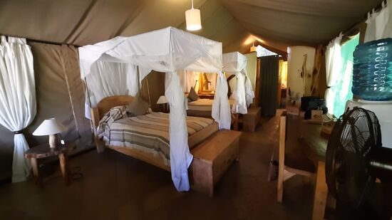 Ich kann mir also mein Bett aussuchen oder eine Nacht das eine und die andere Nacht das andere Bett nutzen 