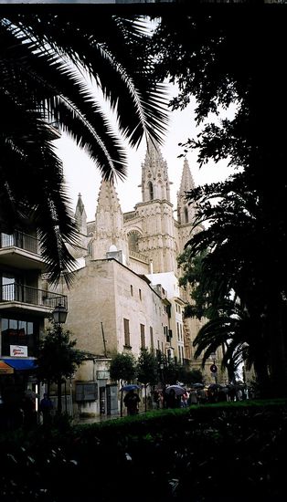 Kleiner Blick auf die Kathedrale von Palma