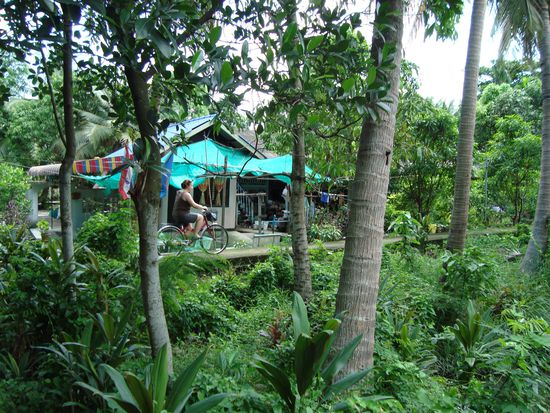 Mitten im Grünen und doch noch immer mitten in Bangkok - faszinierend!