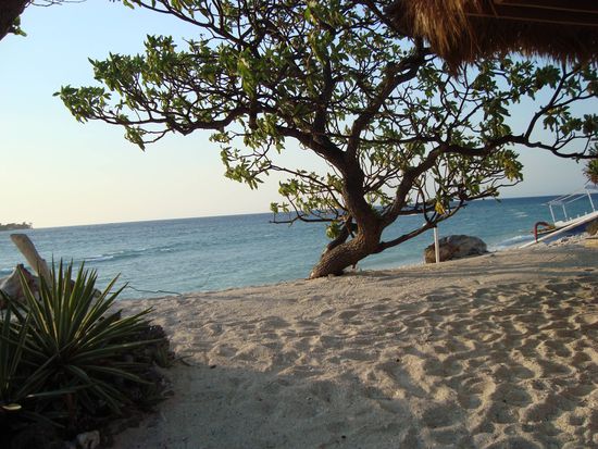 Blick vom Strand beim "Sunset Gecko"